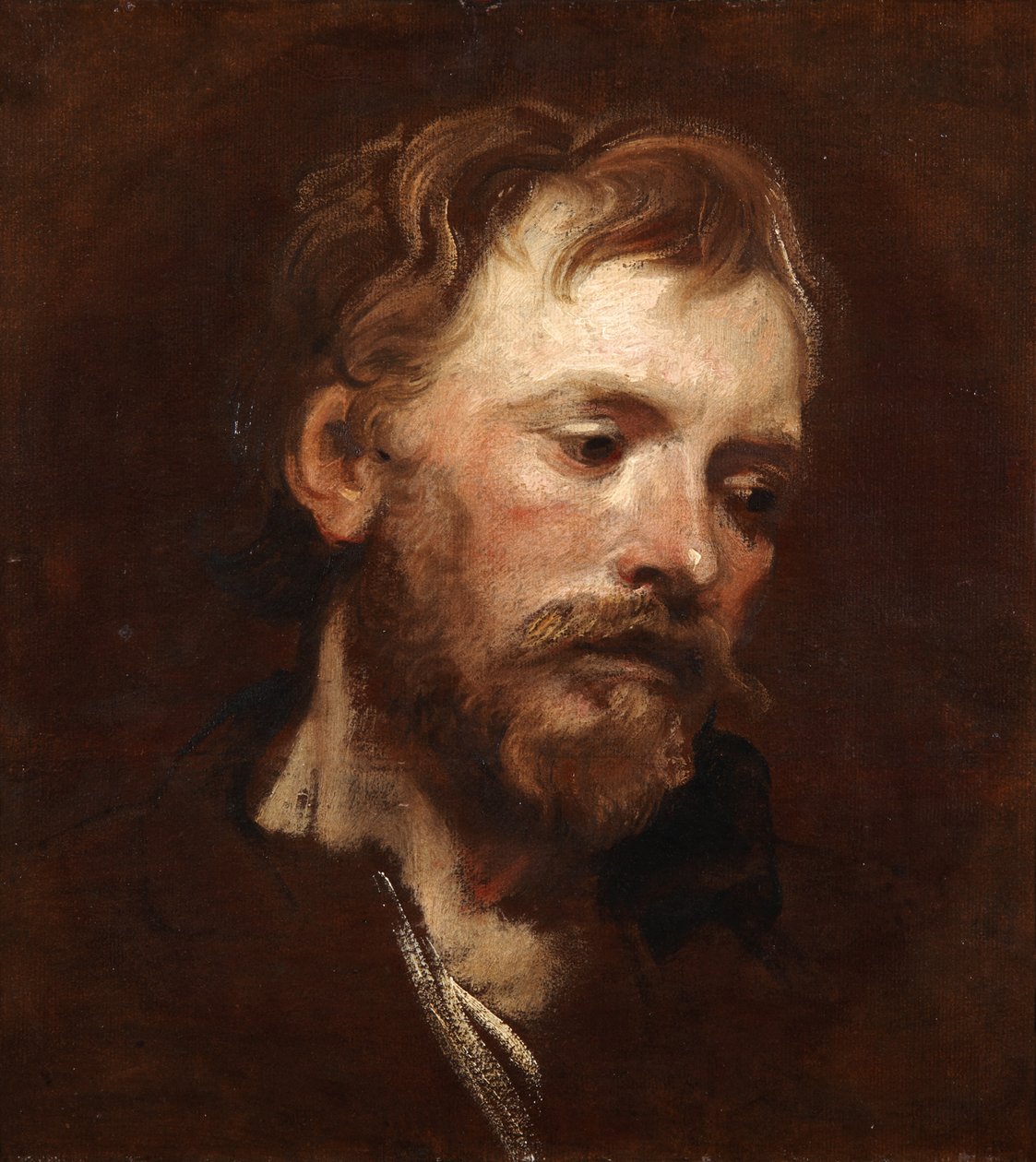 Tutkielma nuoresta parrakkaasta miehestä tekijältä Anthony van Dyck