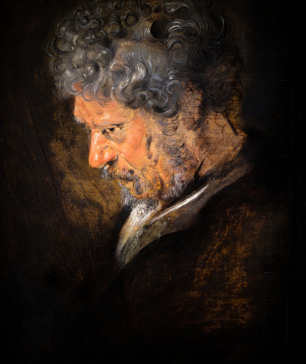 Tutkimus vanhan miehen päästä: vasen profiili (yksityiskohta) tekijältä Anthony van Dyck