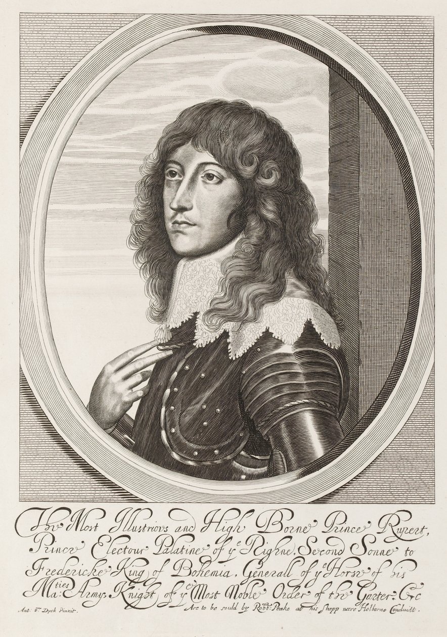Maineikkain ja korkein syntynyt prinssi Rupert, 1640 noin tekijältä Anthony van Dyck