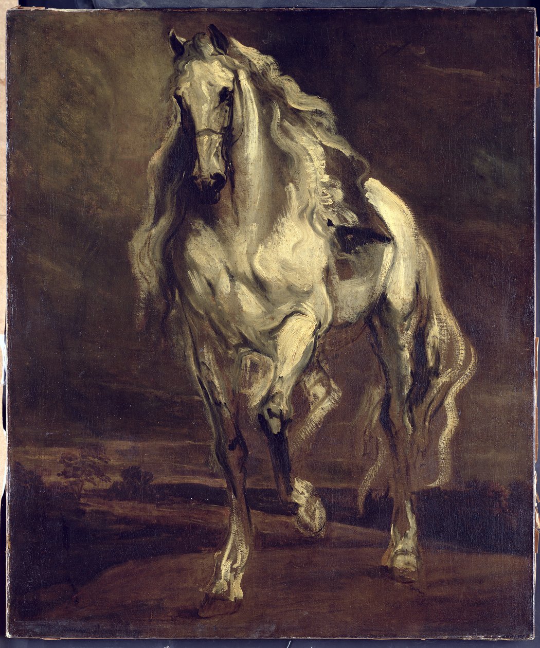 Tuntematon kuva tekijältä Anthony van Dyck