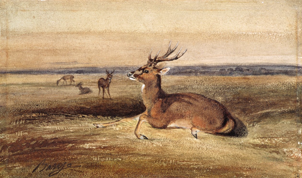 Lepo peura tekijältä Antoine Louis Barye