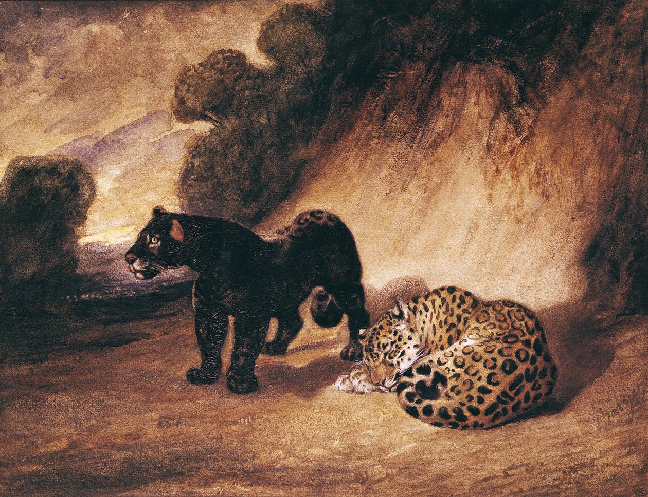 Kaksi Jaguaaria Perusta tekijältä Antoine Louis Barye