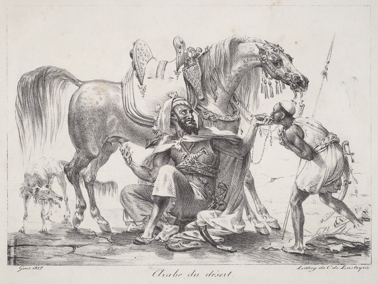 Desert Arab (Aavikon arabi) tekijältä Antoine-Jean Gros