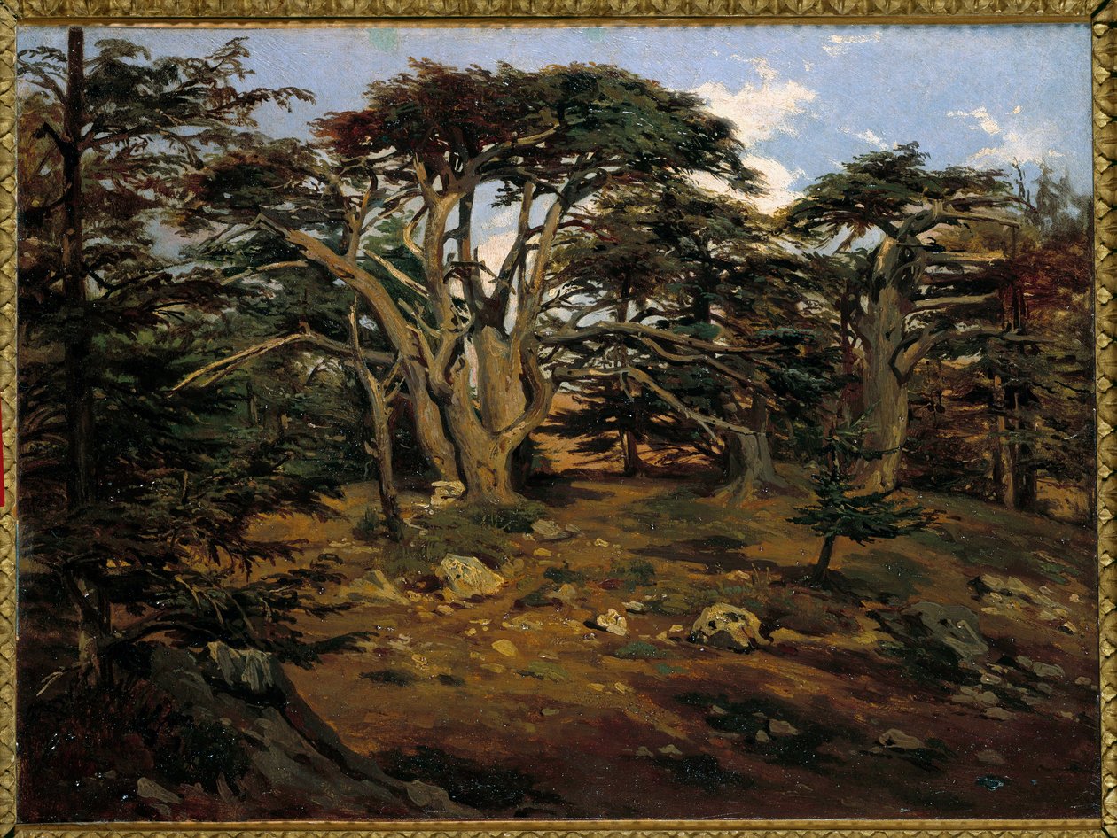 Vanhat setrit Libanon-vuorella Boumanassa Antoine Alphonse Montfortin (1802-1884) maalaus 1800-luvun su. 0,32x0,44 m Pariisi, Orsay-museo tekijältä Antoine Alphonse Montfort