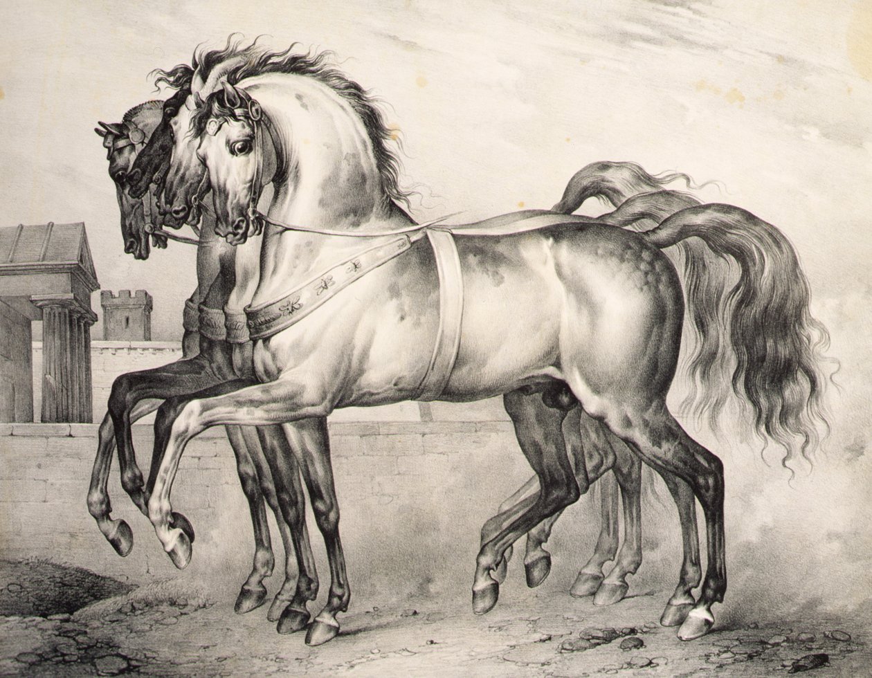 Valmyn taistelussa Orleansin herttua Louis Philippen ratsastamat hevoset, Victor Adamin (1801-66) kaiverrus n.1834-38 (litho) tekijältä Antoine Charles Horace Vernet