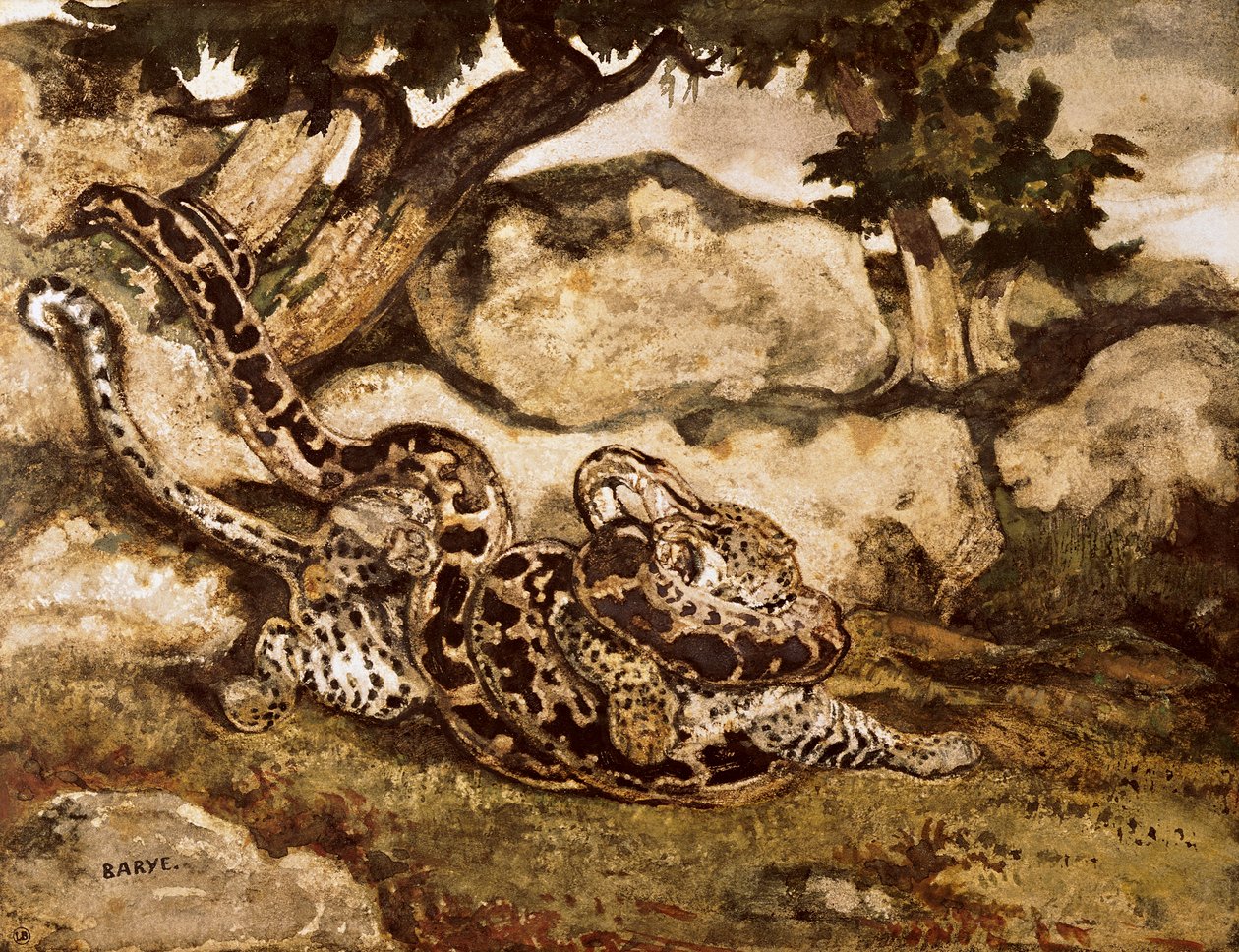 Python tappaa tiikerin (wc ja guassi paperilla) tekijältä Antoine Louis Barye