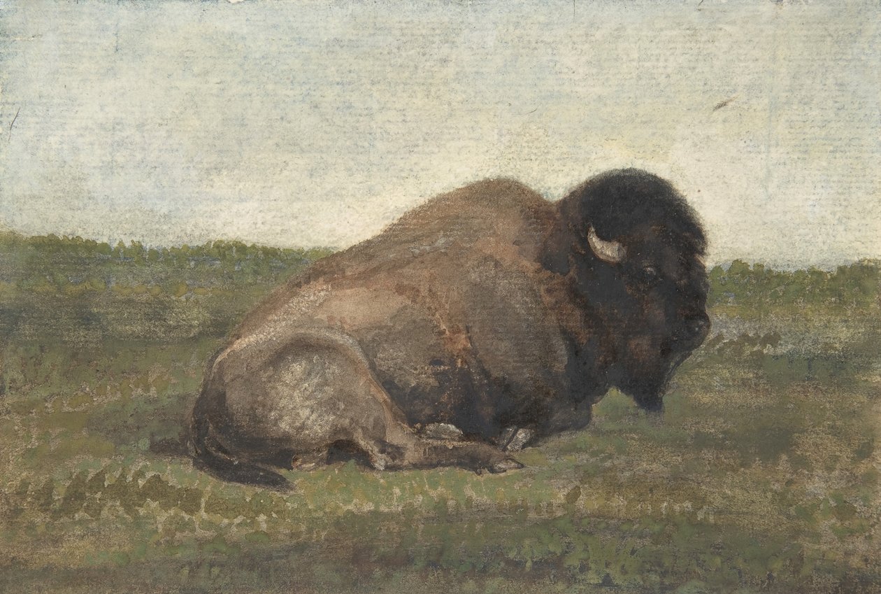 Biisonit makuulla, 1810-75. tekijältä Antoine Louis Barye