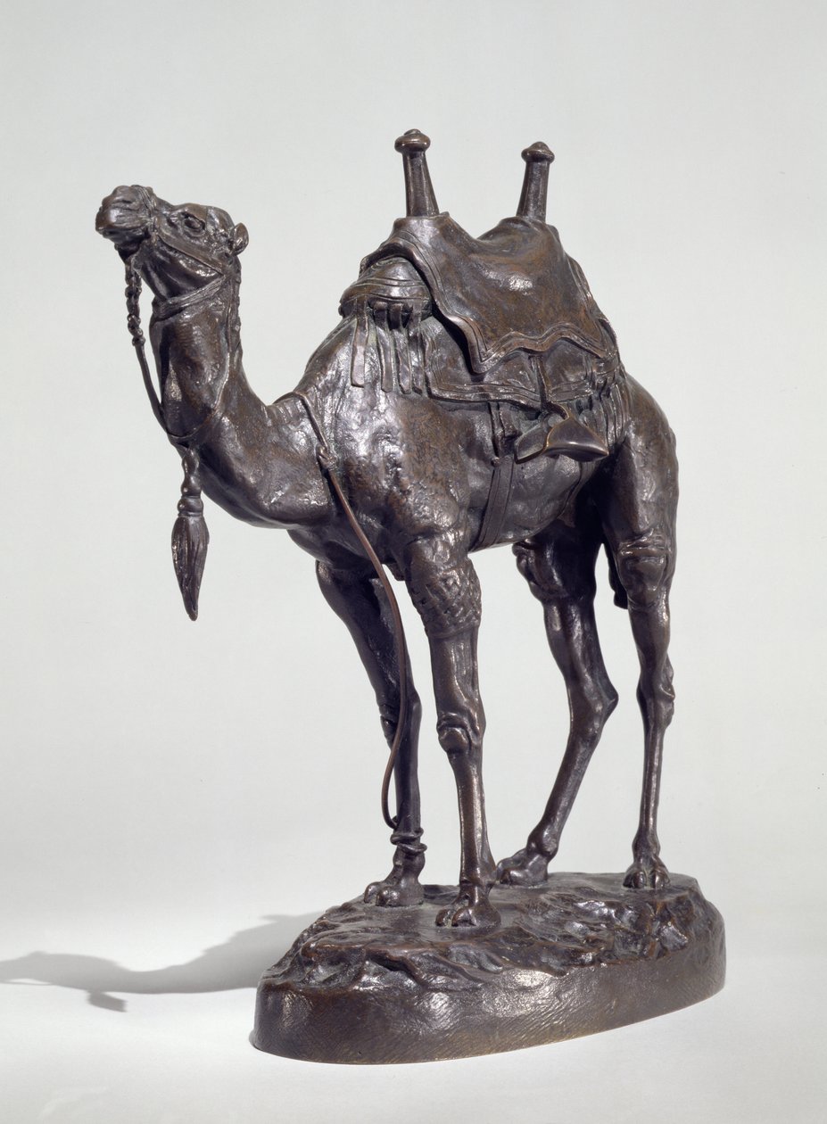 Egyptiläinen dromedaari valjailla (pronssi) tekijältä Antoine Louis Barye