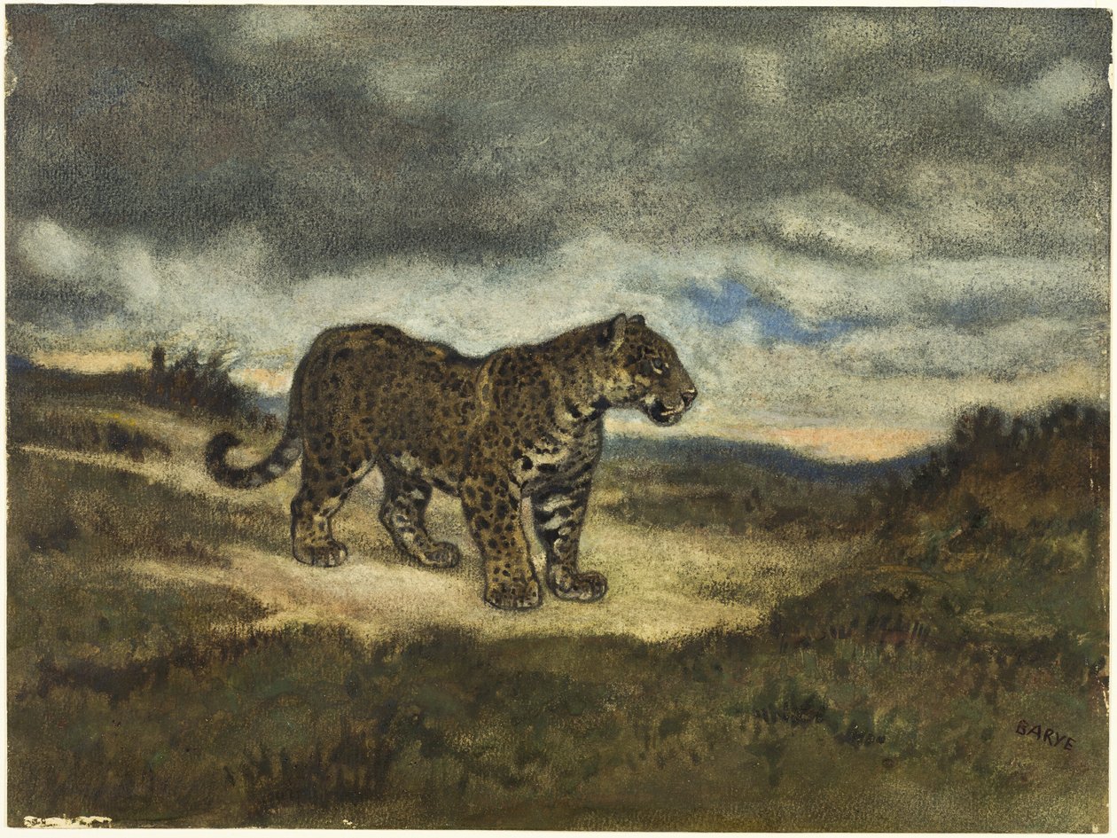 Jaguaari seisoo tekijältä Antoine Louis Barye