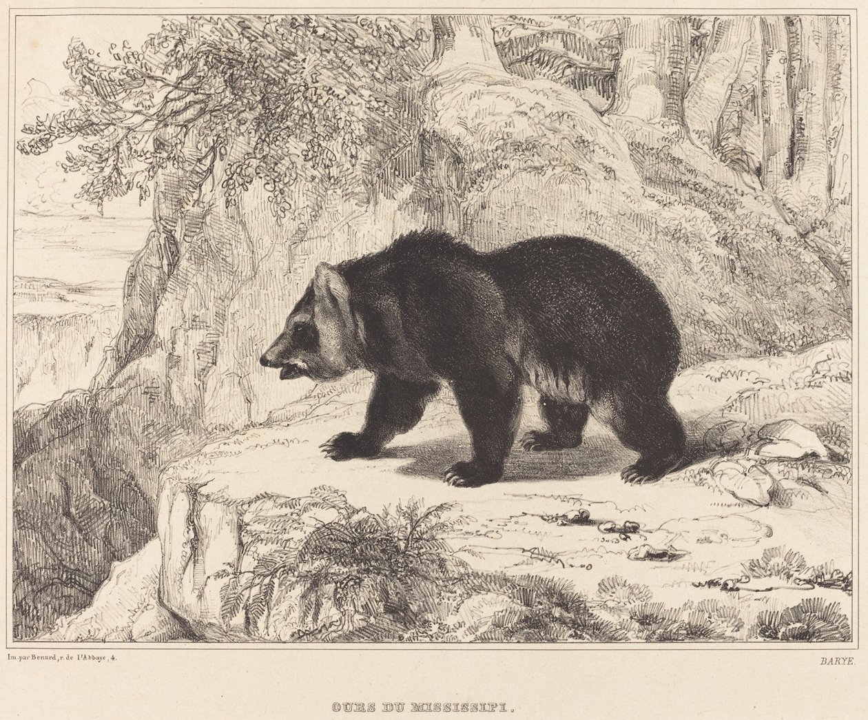 Mississippi-karhu tekijältä Antoine Louis Barye