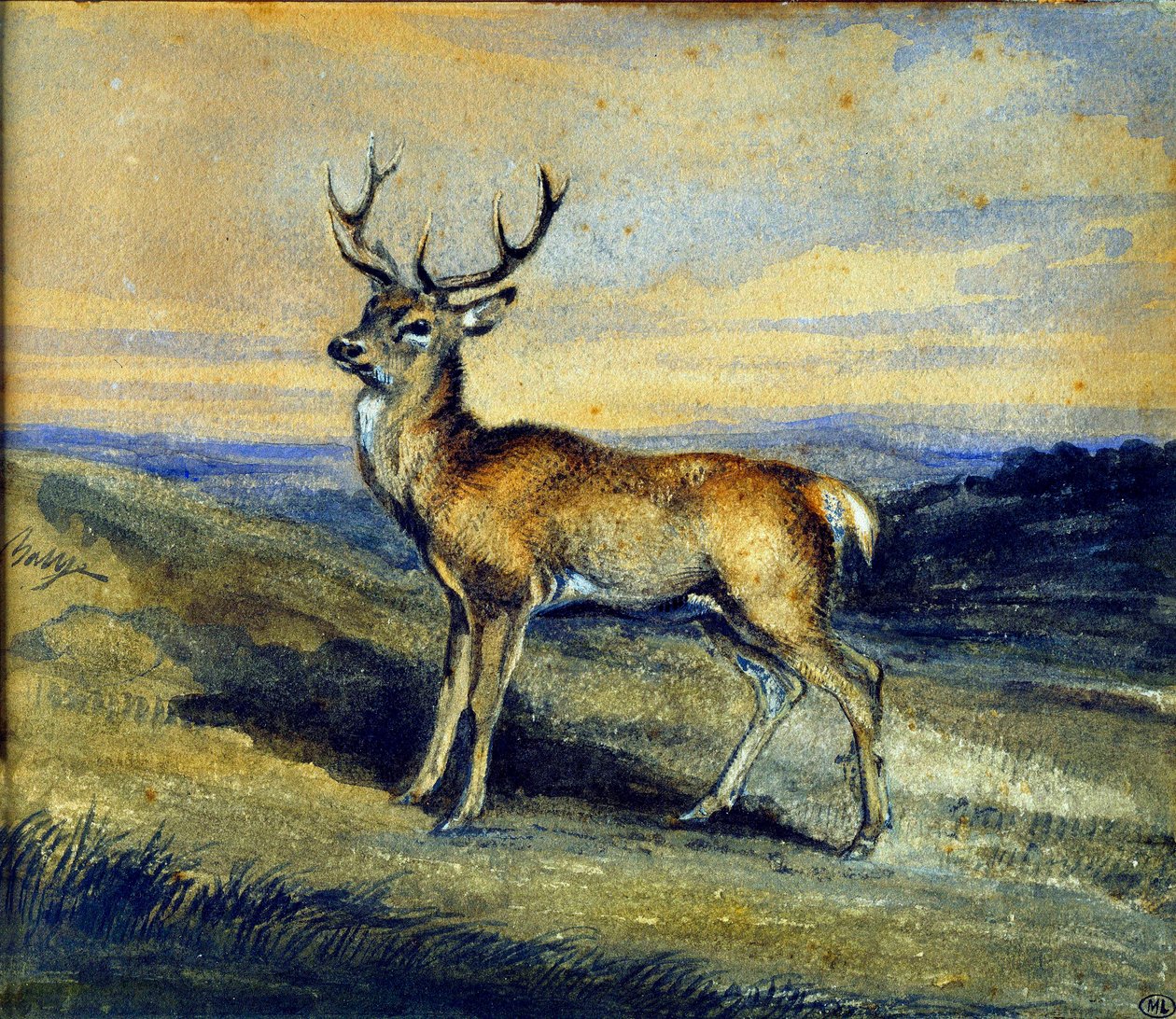 Peura. Antoine Louis Baryen maalaus tekijältä Antoine Louis Barye