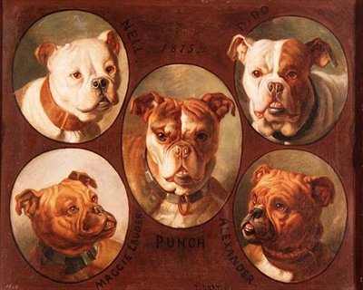 Nell, Dido, Punch, Maggie Lauder ja Alexander, Englanninbulldogit tekijältä Antoine or Tony Dury