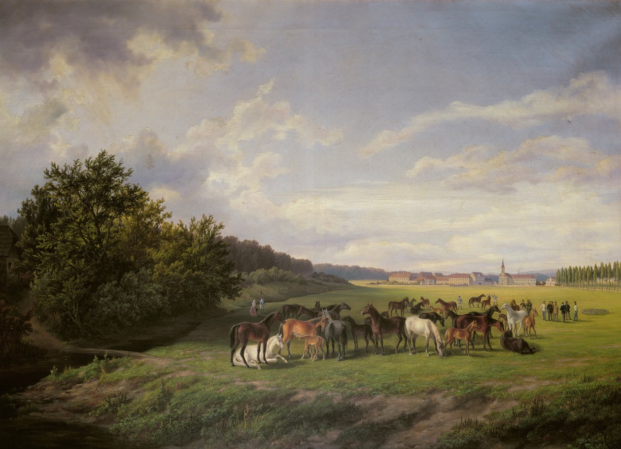 Näkymä Kladrubin hevosfarmista Böömin alueella, 1850 tekijältä Anton Schiffer
