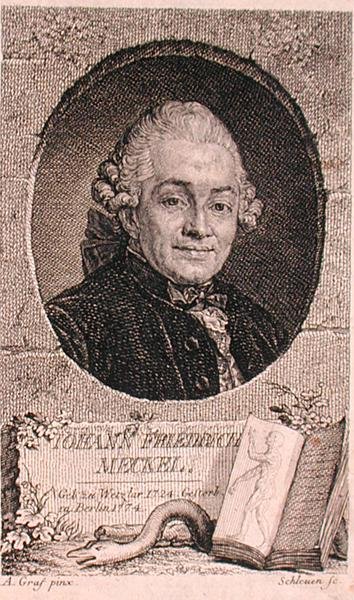 John Schleuenin (fl.1740-74) kaivertama Johann Friedrich Meckelin (1724-76) muotokuva (kaiverrus) tekijältä Anton (after) Graff