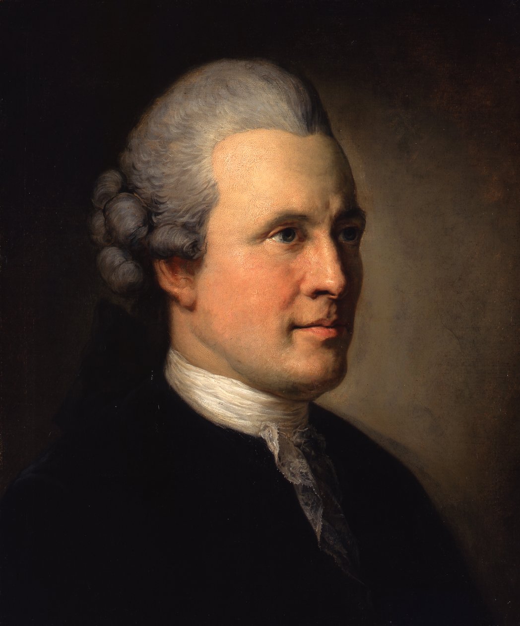 Lääkäri ja filosofi Johann Georg, Ritter von Zimmermann tekijältä Anton Graff