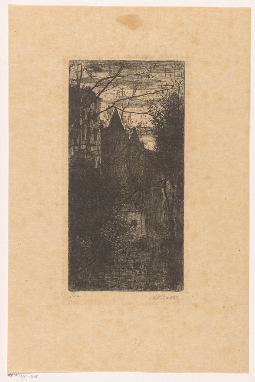 Paun linna iltahämärässä tekijältä Anton L. Koster (signed by artist)