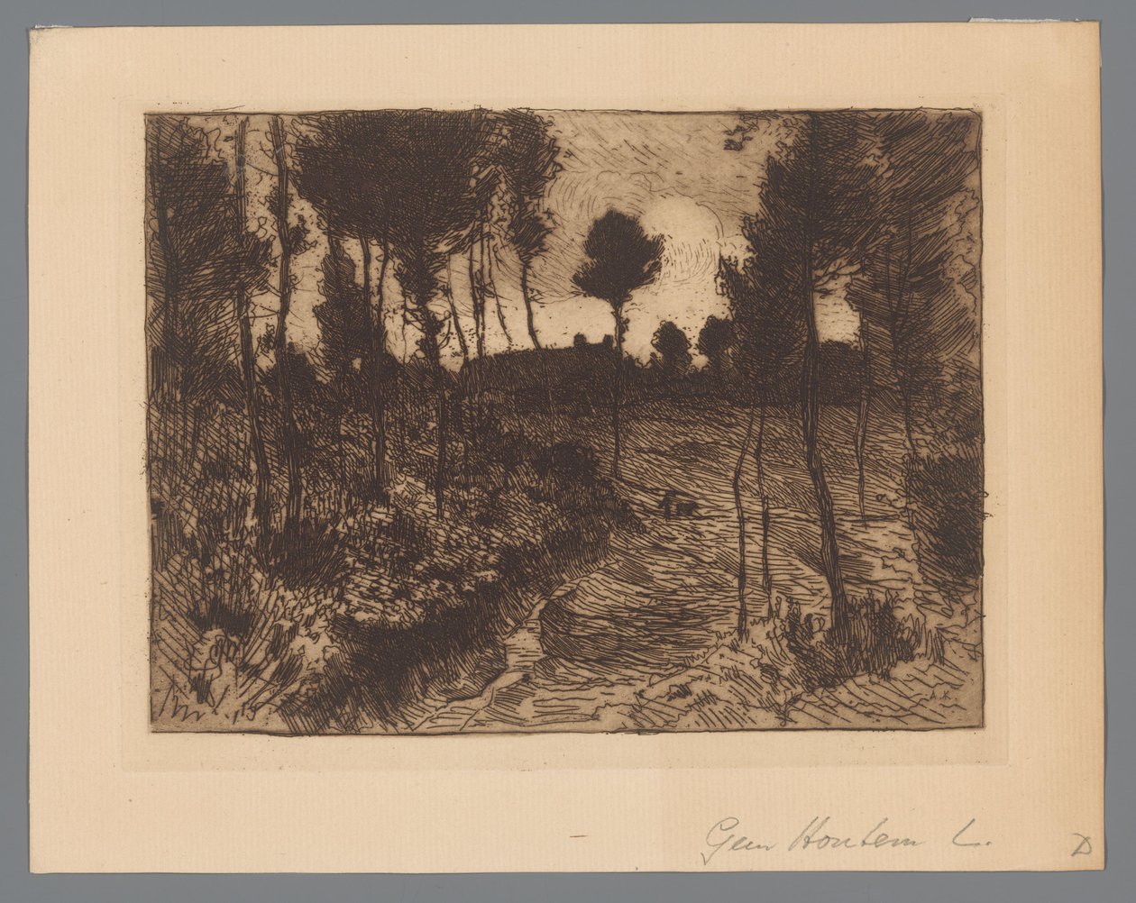 Metsätie yöllä tekijältä Anton L. Koster