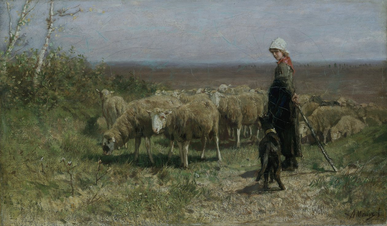 "Paimentar", 1858-1888 tekijältä Anton Mauve