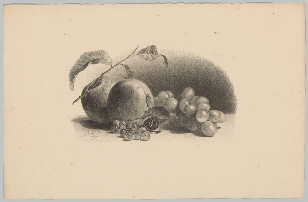 Omenat, marjat, karhunvatukat ja viinirypäleet Flower and Fruit Studies (...) 3. jakso (sarjan nimi) tekijältä Anton Weiss