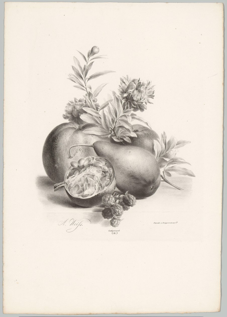 Kukat, omenat, päärynät, granaattiomena ja karhunvatukat Flower and Fruit Studies (...) 10. jakso (sarjan nimi) tekijältä Anton Weiss