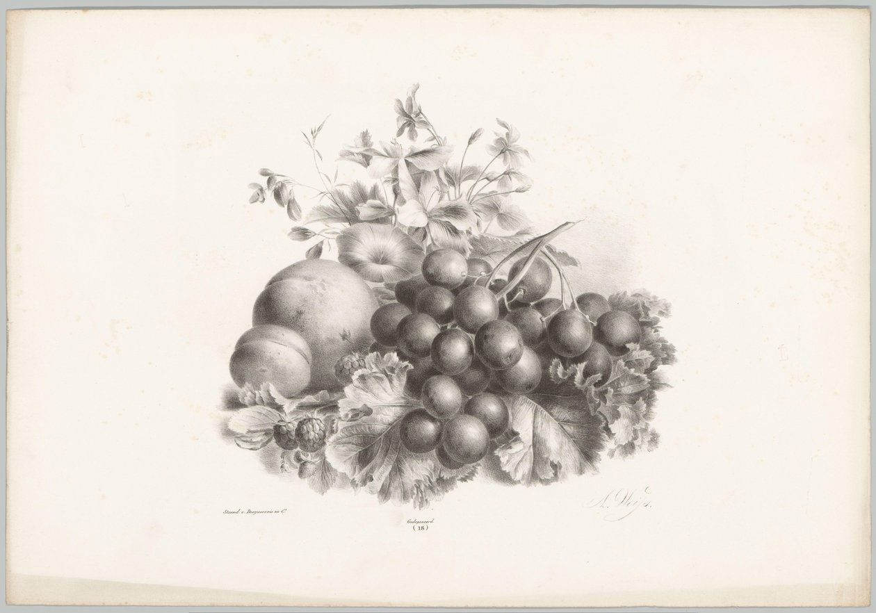 Kukat, persikka, nektariini, viinirypäleet ja karhunvatukat Flower and Fruit Studies (...) 10. jakso (sarjan nimi) tekijältä Anton Weiss