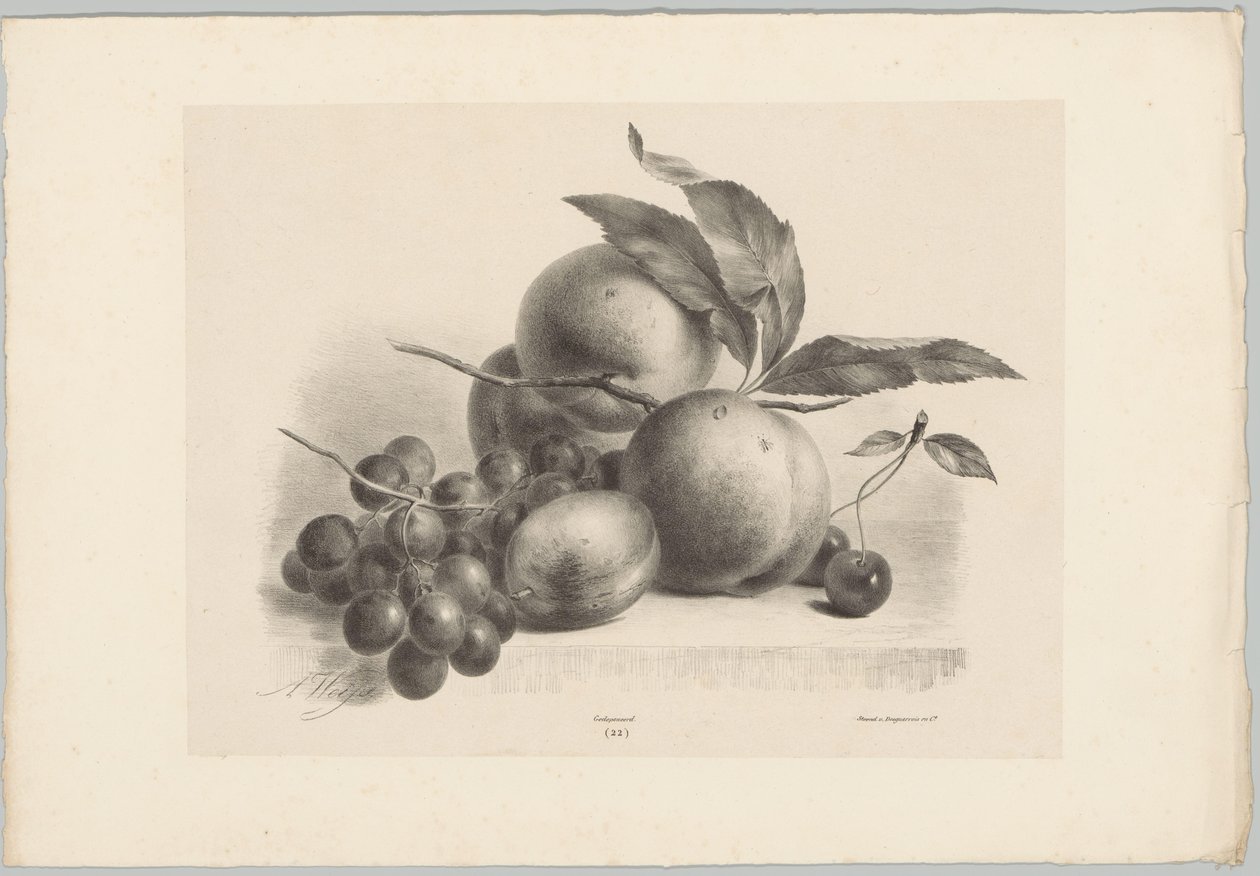 Rypäleet, luumu, persikat ja kirsikat Flower and Fruit Studies (...) 10. jakso (sarjan nimi) tekijältä Anton Weiss