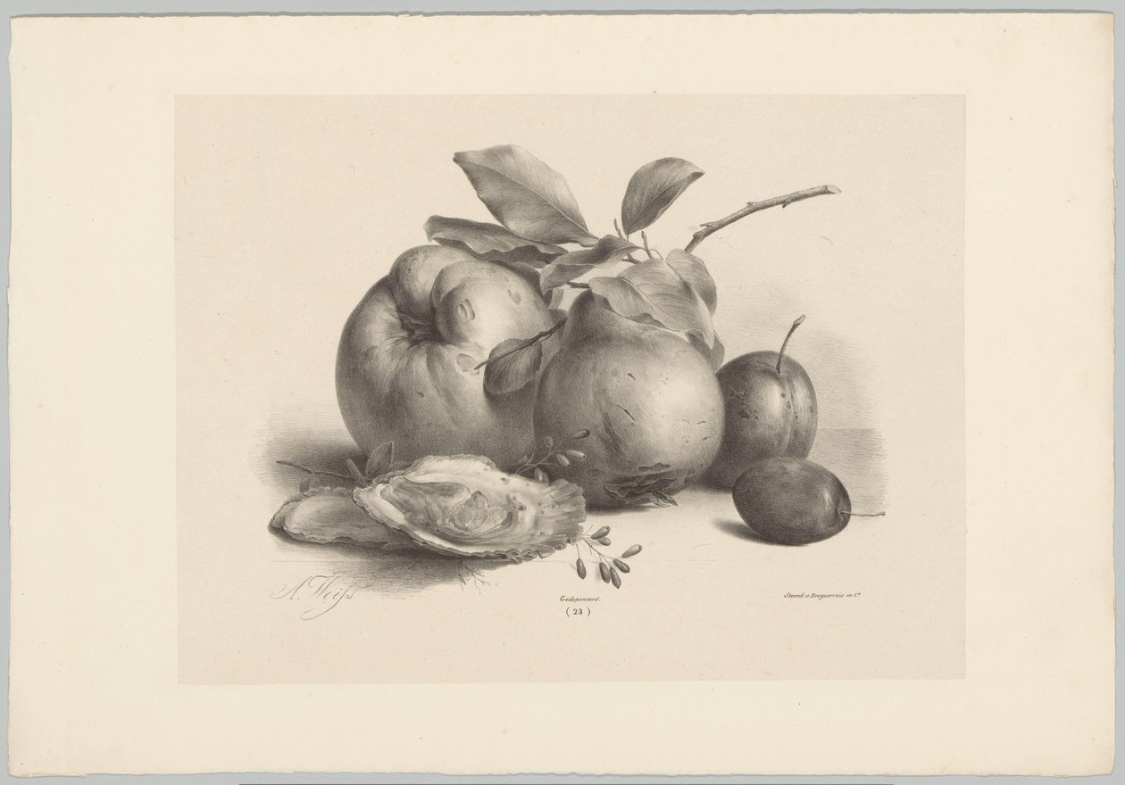 Hedelmät, luumut ja osterit Flower and Fruit Studies (...) 10. jakso (sarjan nimi) tekijältä Anton Weiss