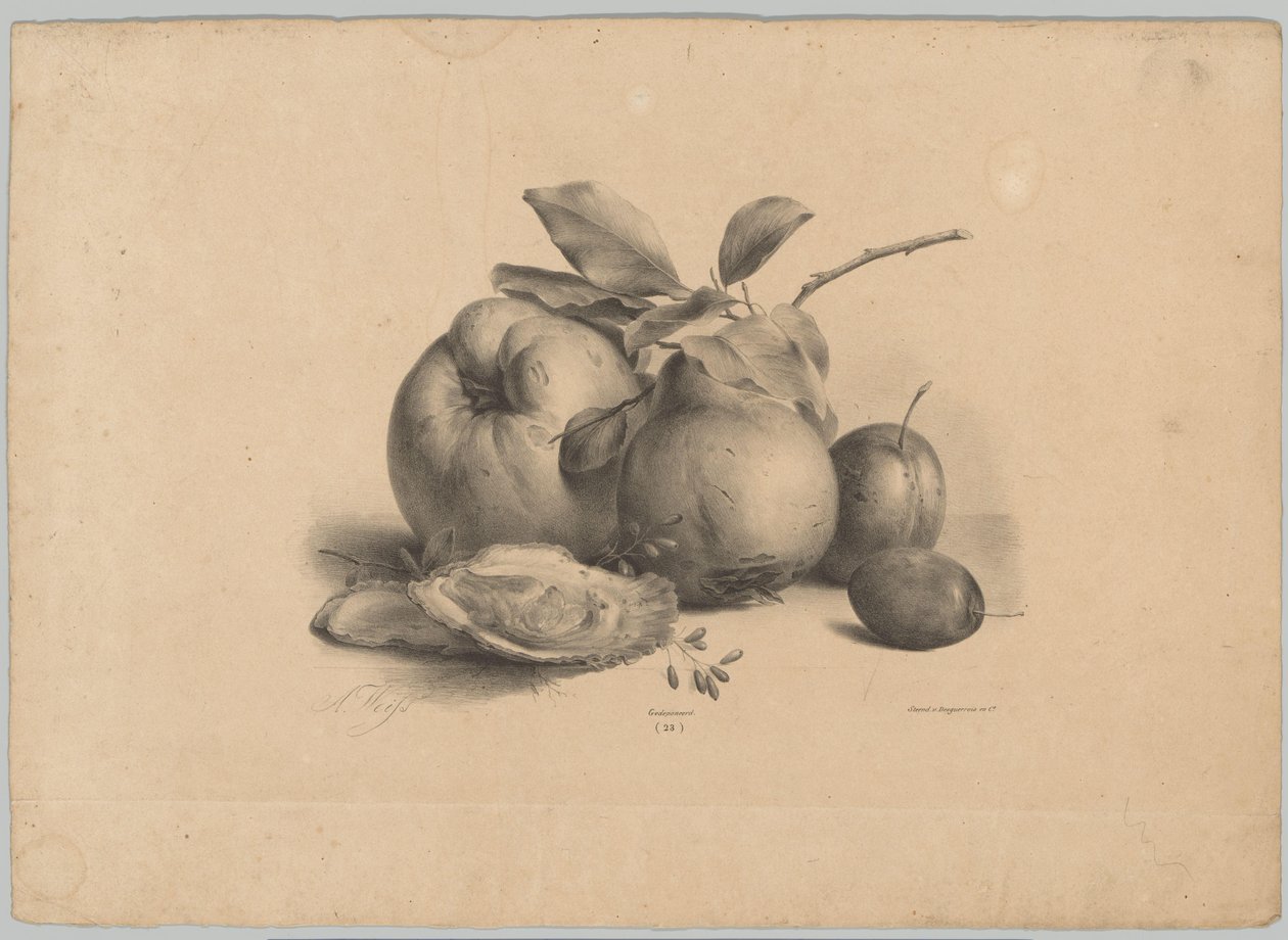 Hedelmät, luumut ja osterit Flower and Fruit Studies (...) 10. jakso (sarjan nimi) tekijältä Anton Weiss