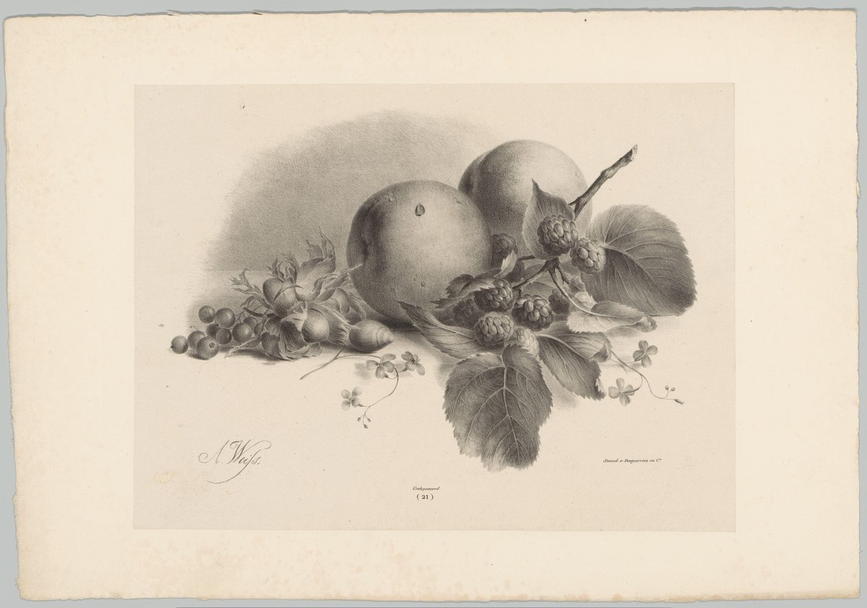 Persikat, marjat, hasselpähkinät ja karhunvatukat Flower and Fruit Studies (...) 10. jakso (sarjan nimi) tekijältä Anton Weiss