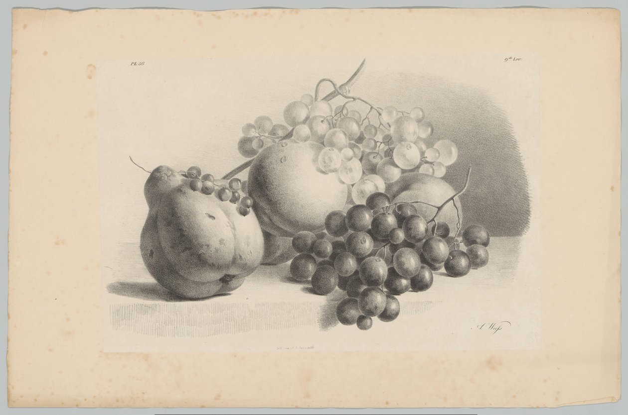 Kurpitsa, marjat, viinirypäleet ja persikat Flower and Fruit Studies (...) 3. jakso (sarjan nimi) tekijältä Anton Weiss