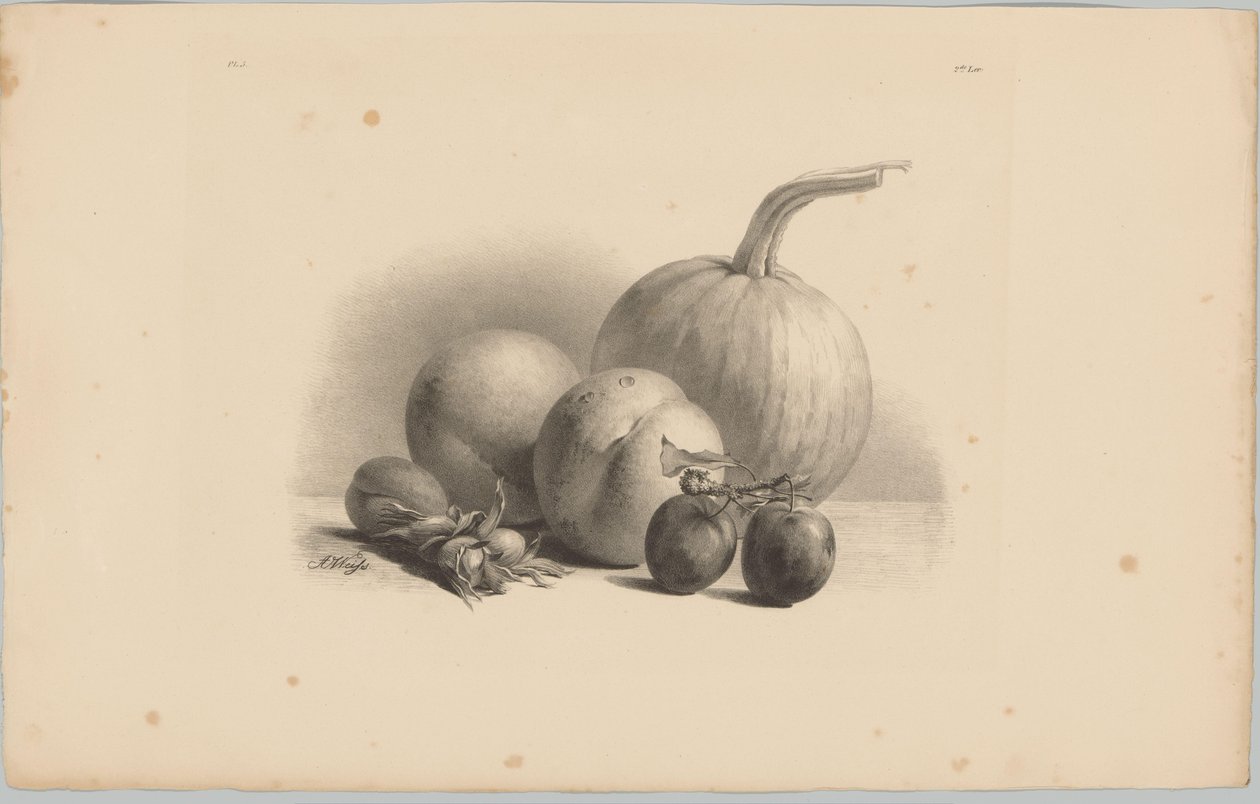 Kurpitsa, persikat, aprikoosi, luumut ja hasselpähkinät Flower and Fruit Studies (...) 3. jakso (sarjan nimi) tekijältä Anton Weiss