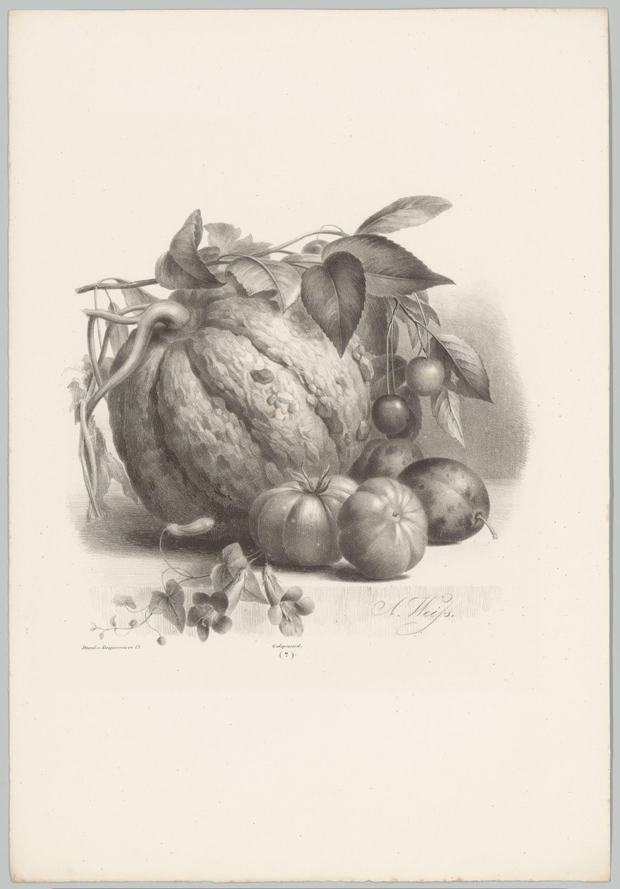 Kurpitsaa, tomaatteja ja kirsikoita Flower and Fruit Studies (...) 10. jakso (sarjan nimi) tekijältä Anton Weiss