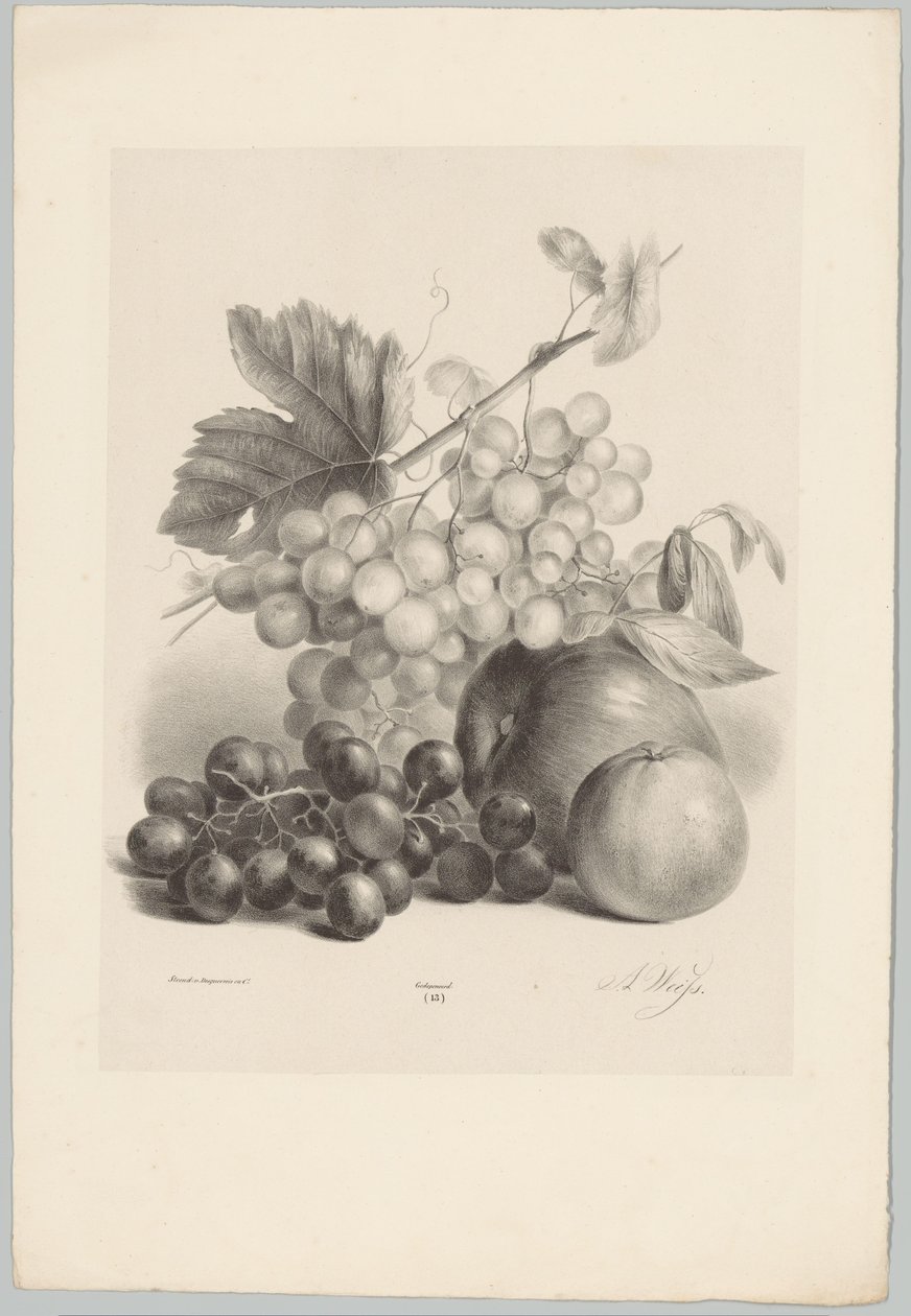 Punaiset ja valkoiset viinirypäleet ja omenat Flower and Fruit Studies (...) 10. jakso (sarjan nimi) tekijältä Anton Weiss