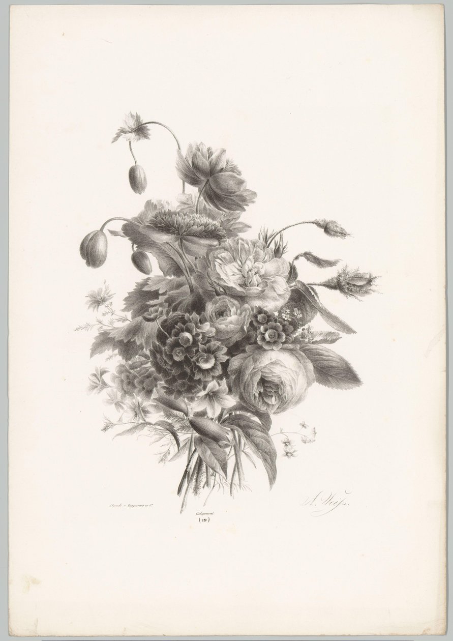 Ruusuja ja muita kukkia Flower and Fruit Studies (...) 10. jakso (sarjan nimi) tekijältä Anton Weiss