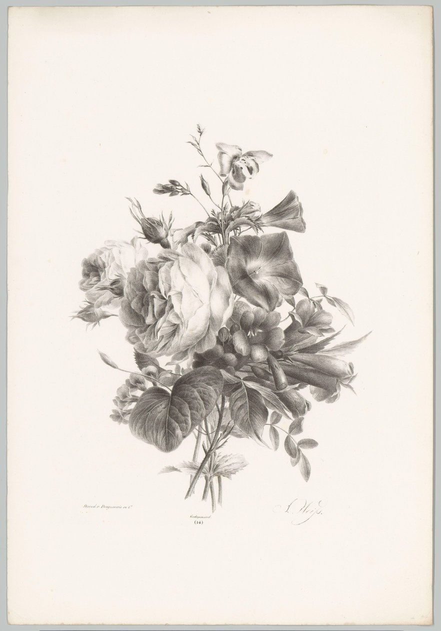 Ruusuja ja maljan muotoisia kukkia Flower and Fruit Studies (...) 10. jakso (sarjan nimi) tekijältä Anton Weiss