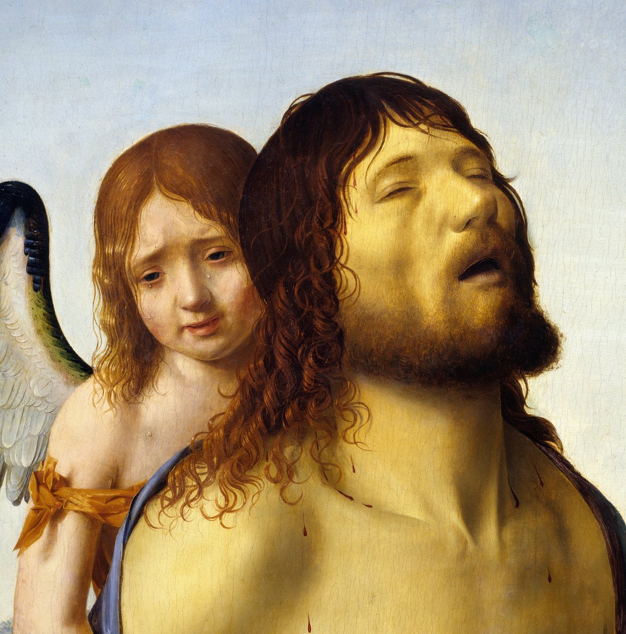 Yksityiskohta "" Enkelin tukema kuollut Kristus"" Antonello da Messinan (1430-1479) maalaus 1476-1479 su. 0,74x0,51 m Madrid, Pradon museo. tekijältä Antonello da Messina