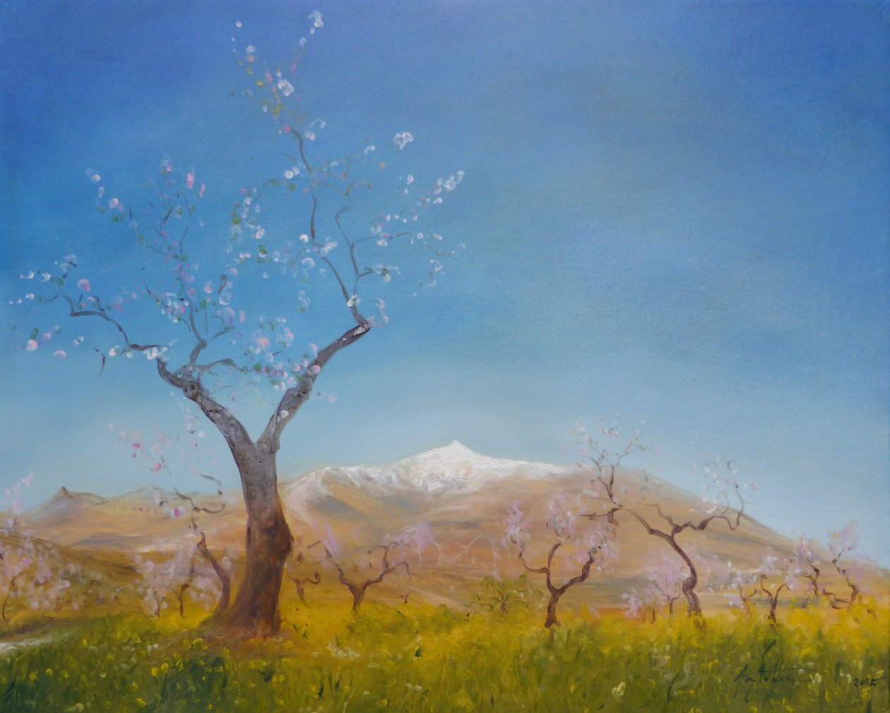 Mantelinkukka lumihuippuisella Sierra Nevada -vuorella, 2016 tekijältä Antonia Myatt