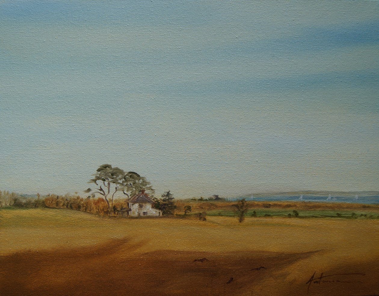 House and Fields, 2016 tekijältä Antonia Myatt