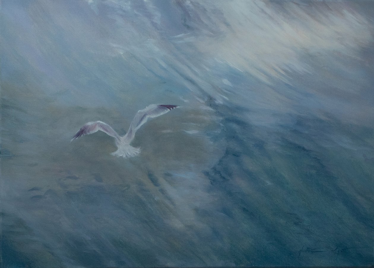 Lokki lentää pois, 2012 (öljy kankaalle) tekijältä Antonia Myatt