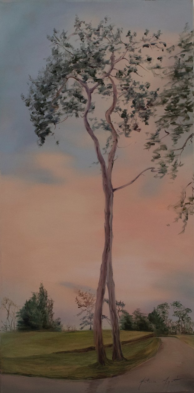 Tapeley Park puut, 2013 (öljy kankaalle) tekijältä Antonia Myatt