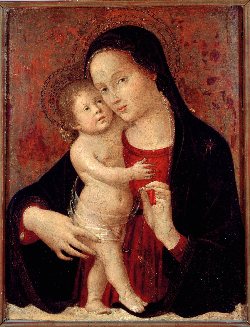 Antonio Aquili dit Antoniazzo Romanon neitsyt ja lapsi maalaus puulle (toimii noin 1461-1508) su. 46x37 Genes, Galleria di Palazzo Bianco tekijältä Antoniazzo Romano