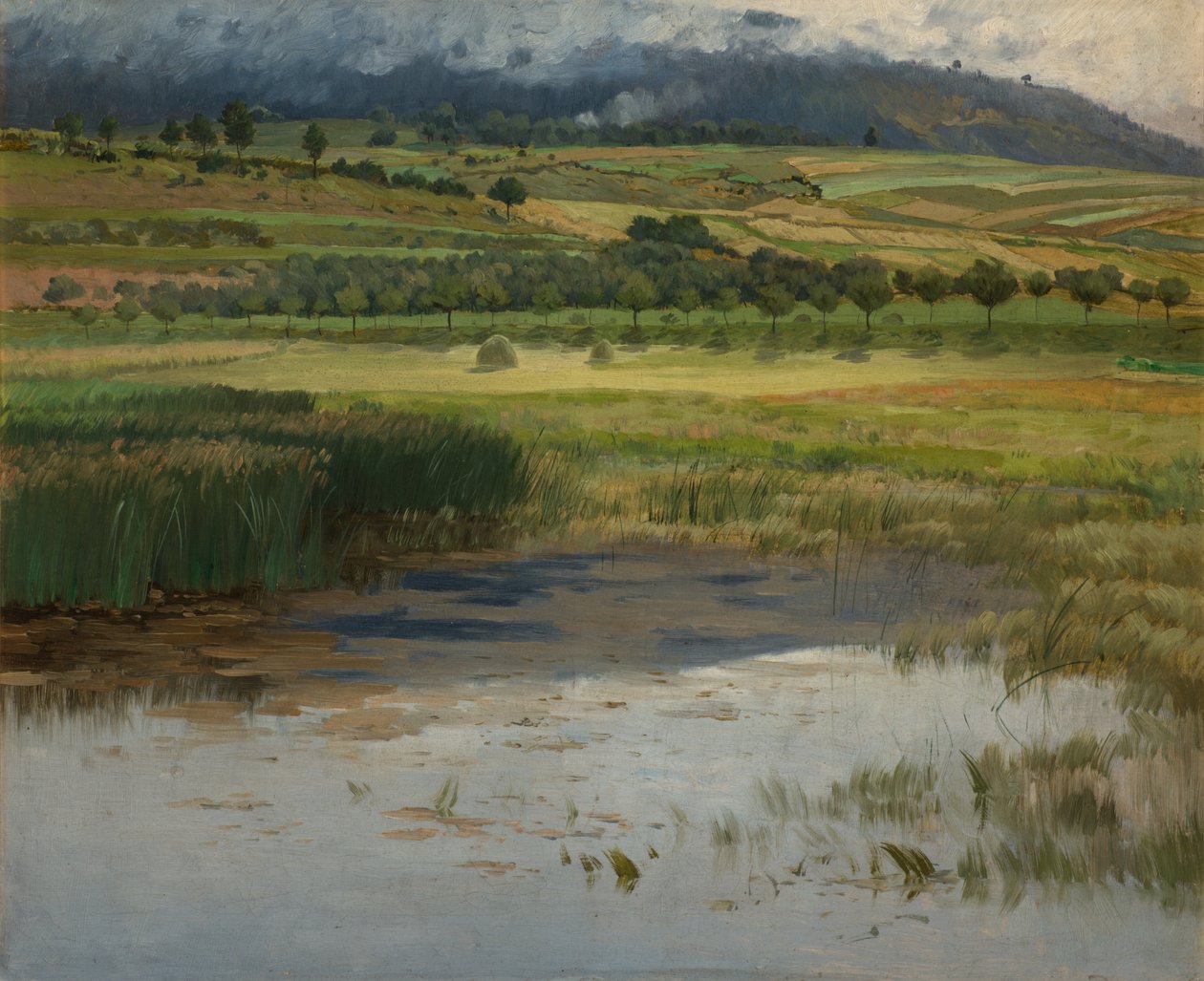 Hukkunut lampi, 1887 tekijältä Antonin Chittussi