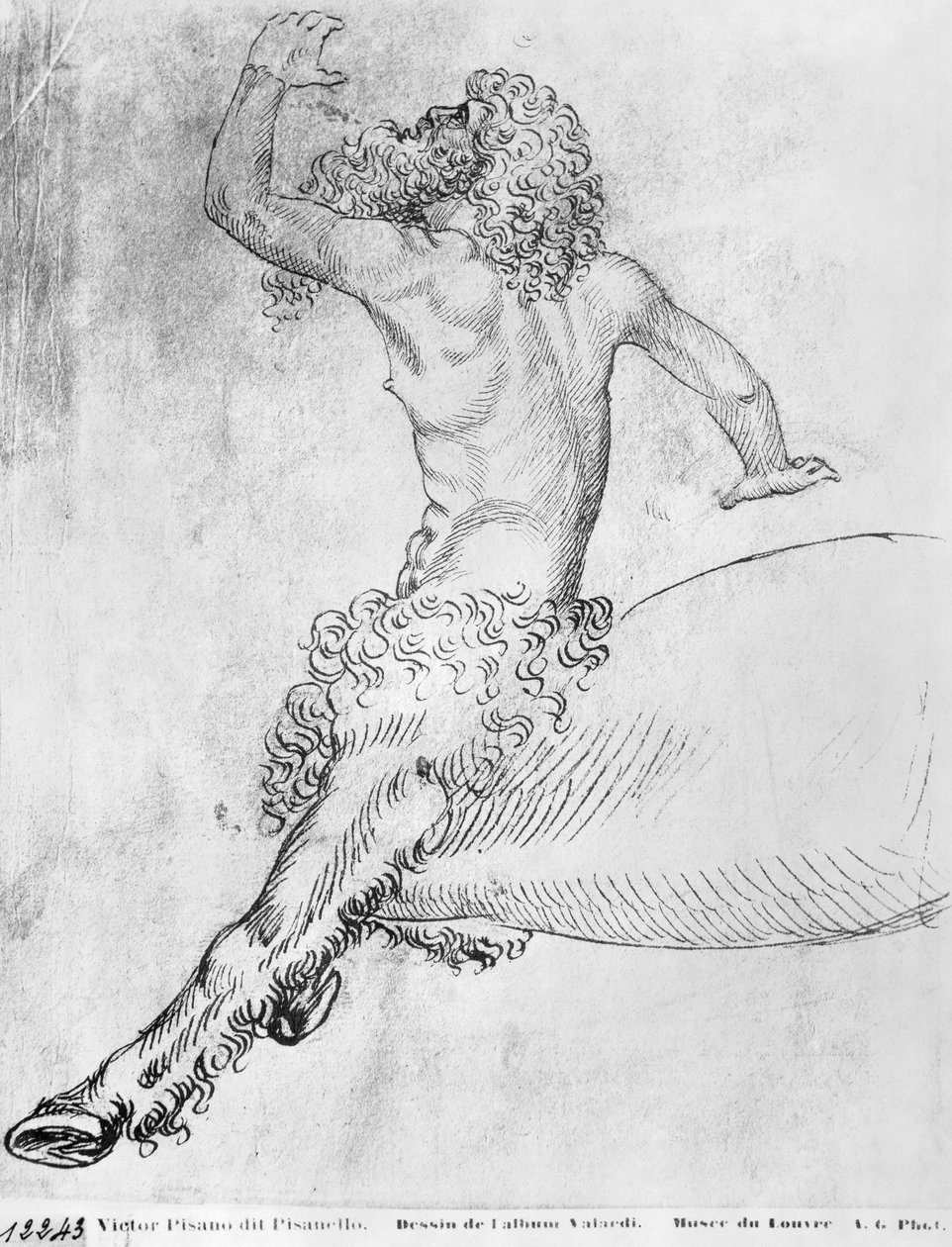 Centaur, Vallardi-albumista tekijältä Antonio Pisanello