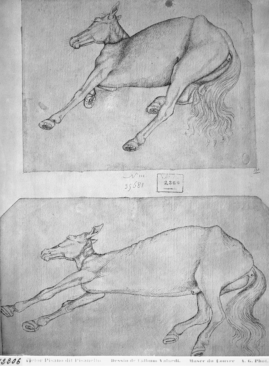 Kuolleet hevoset, The Vallardi Albumista tekijältä Antonio Pisanello