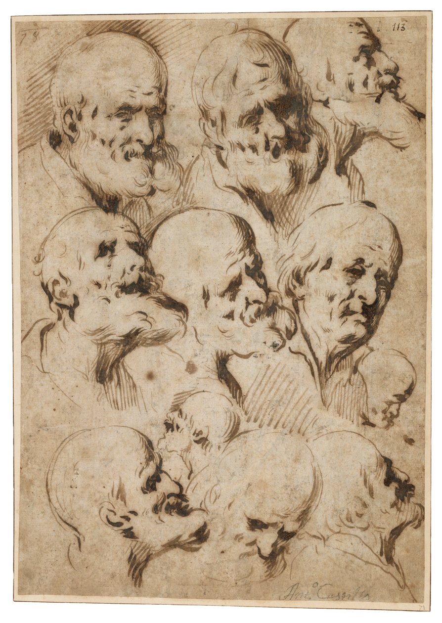 Tutkimus apostolien päistä, n. 1650 (ruokokynä ja ruskea muste levitetylle paperille) tekijältä Antonio del Castillo y Saavedra