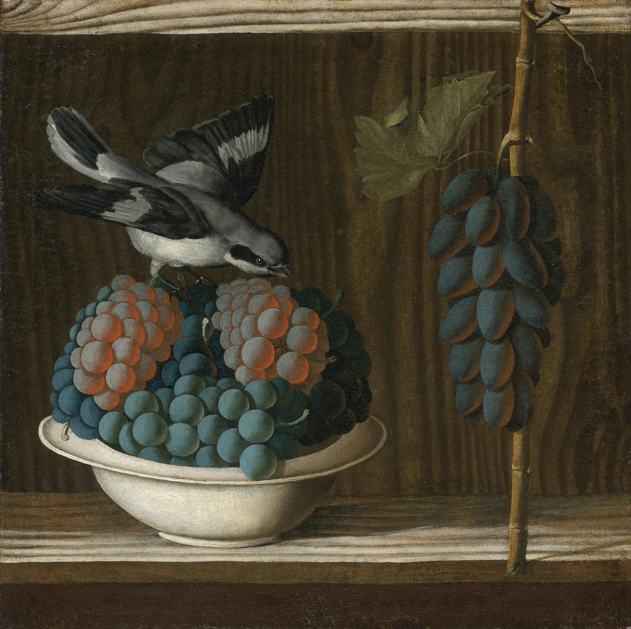 Leonellin (da Crevalcore), Antonion (n. 1450-ennen 1525) asetelma viinirypäleiden ja harmaan kirsun kanssa (Allegory of Painting). Öljy kankaalle, koko: 40x39,7, n. 1500, yksityinen tekijältä Antonio (fl.1478 1513) Leonelli