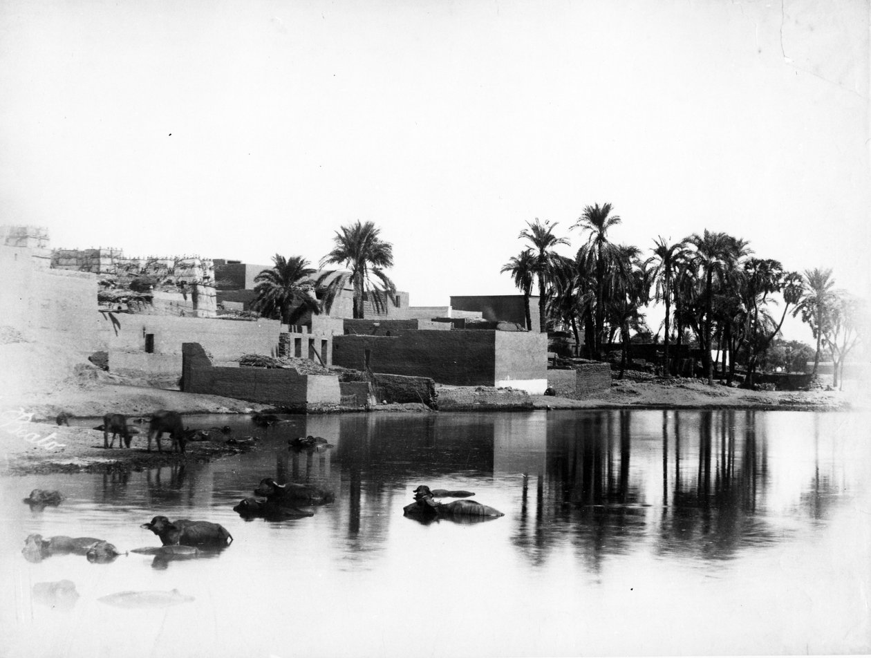 Luxor nähtynä Niilin veneestä, n. 1860-80 tekijältä Antonio Beato