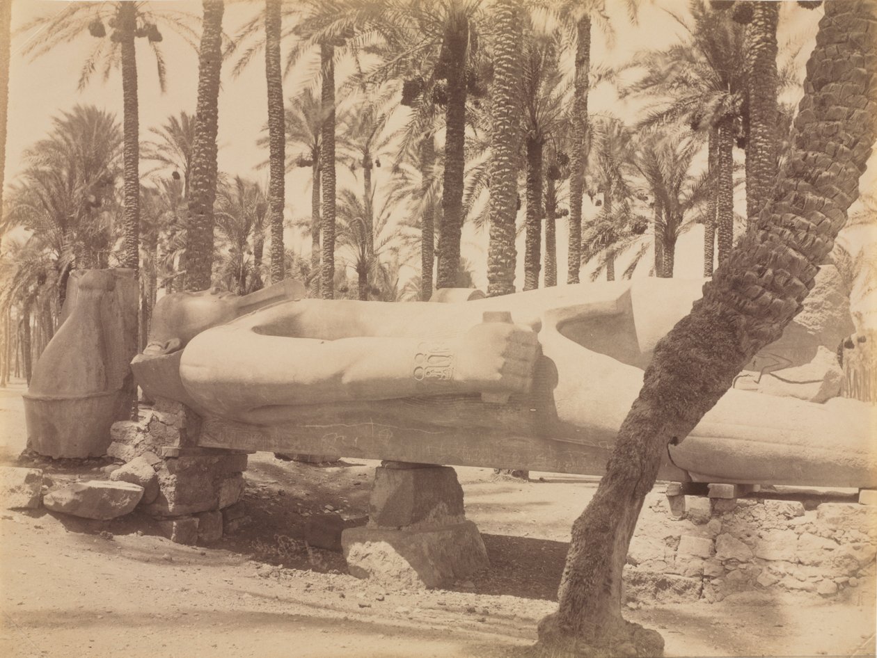Ramses-patsas Saqqarassa, n. 1870-1880 luvut. tekijältä Antonio Beato