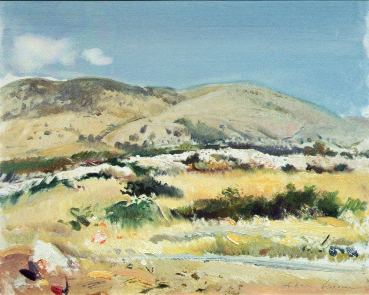 Gargano, 1981 tekijältä Antonio Ciccone