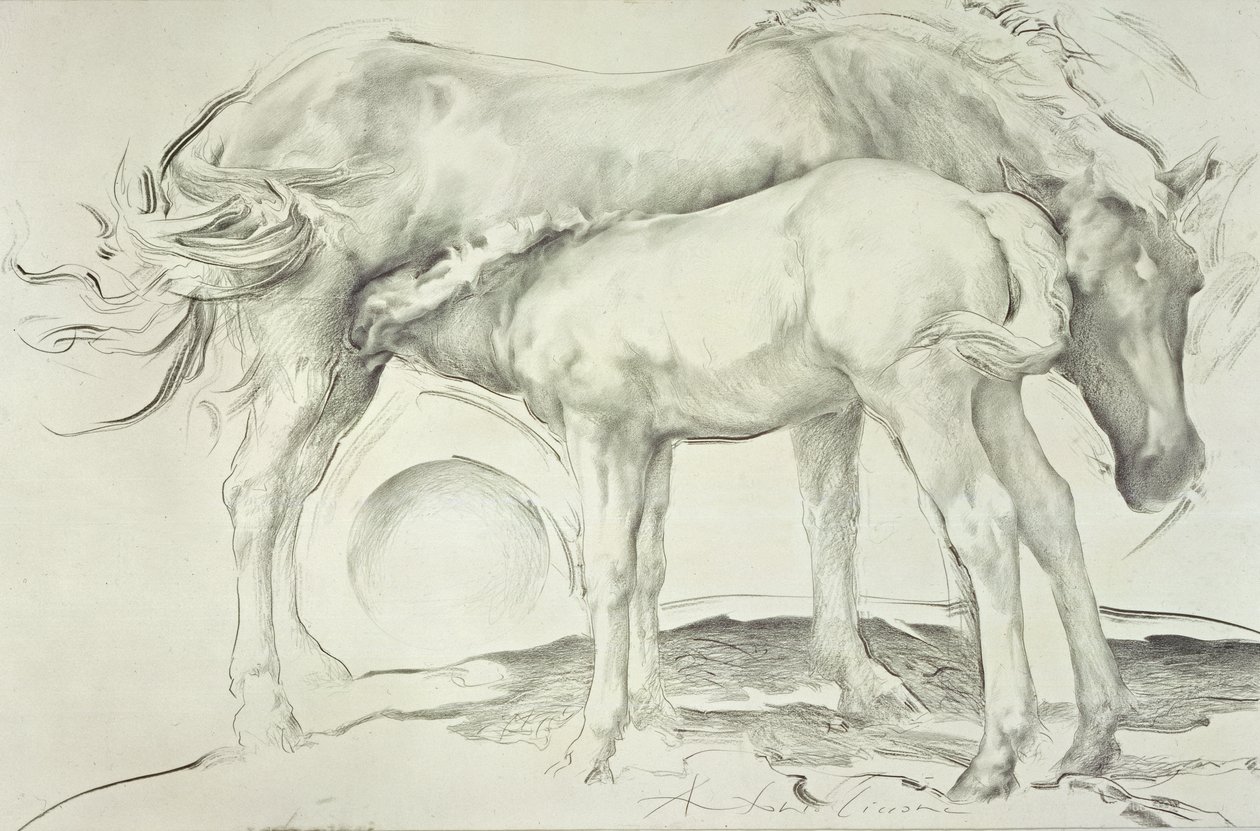 Horses at Coolmoressa, 1990 (hiili paperilla) tekijältä Antonio Ciccone